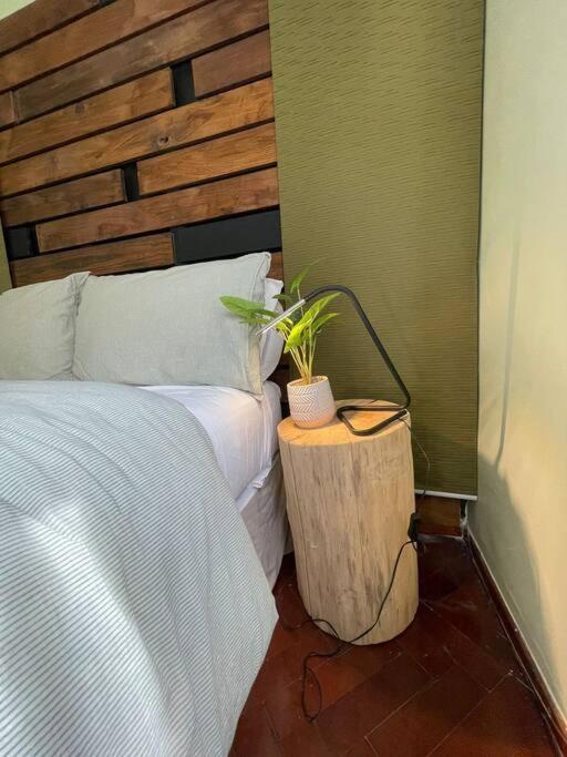 Apartment Recoleta